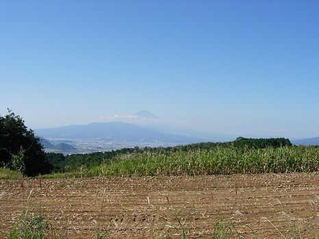 遥かかなたに富士山が見えます。